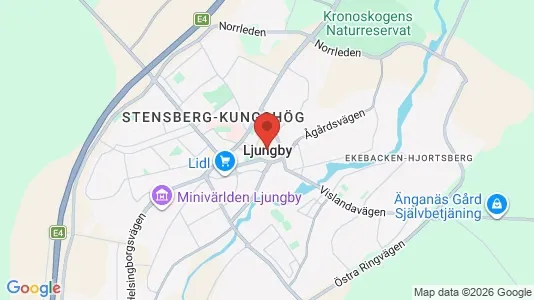 Industrilokaler att hyra i Ljungby - kort over placeringen